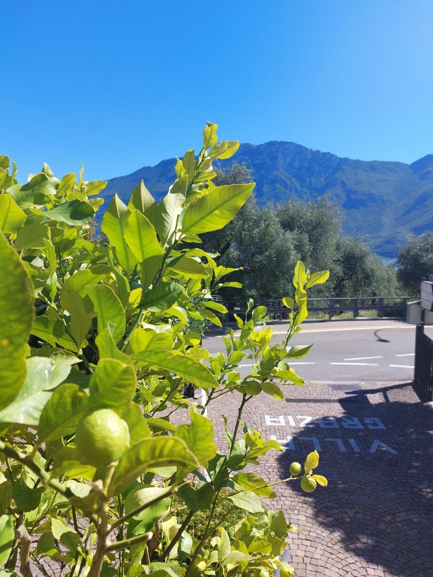 Hotel Villa Grazia Limone sul Garda Exterior foto